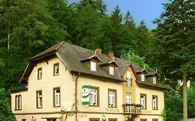 Pension Waldheim